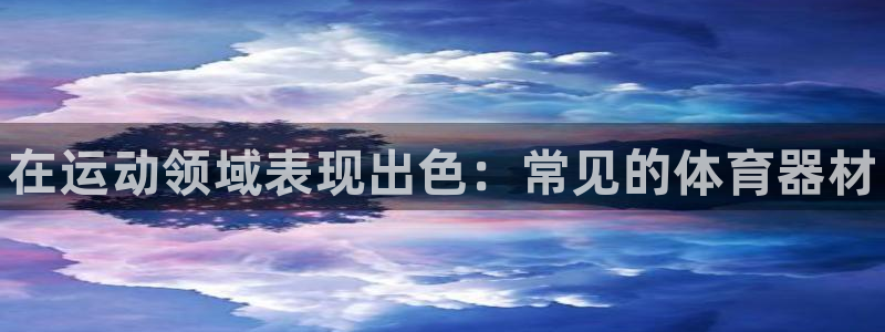 星歐娛樂聯售后服務評價:在運動領域表現出色:常見的體育器材